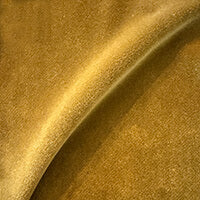 Aster Oro Velvet