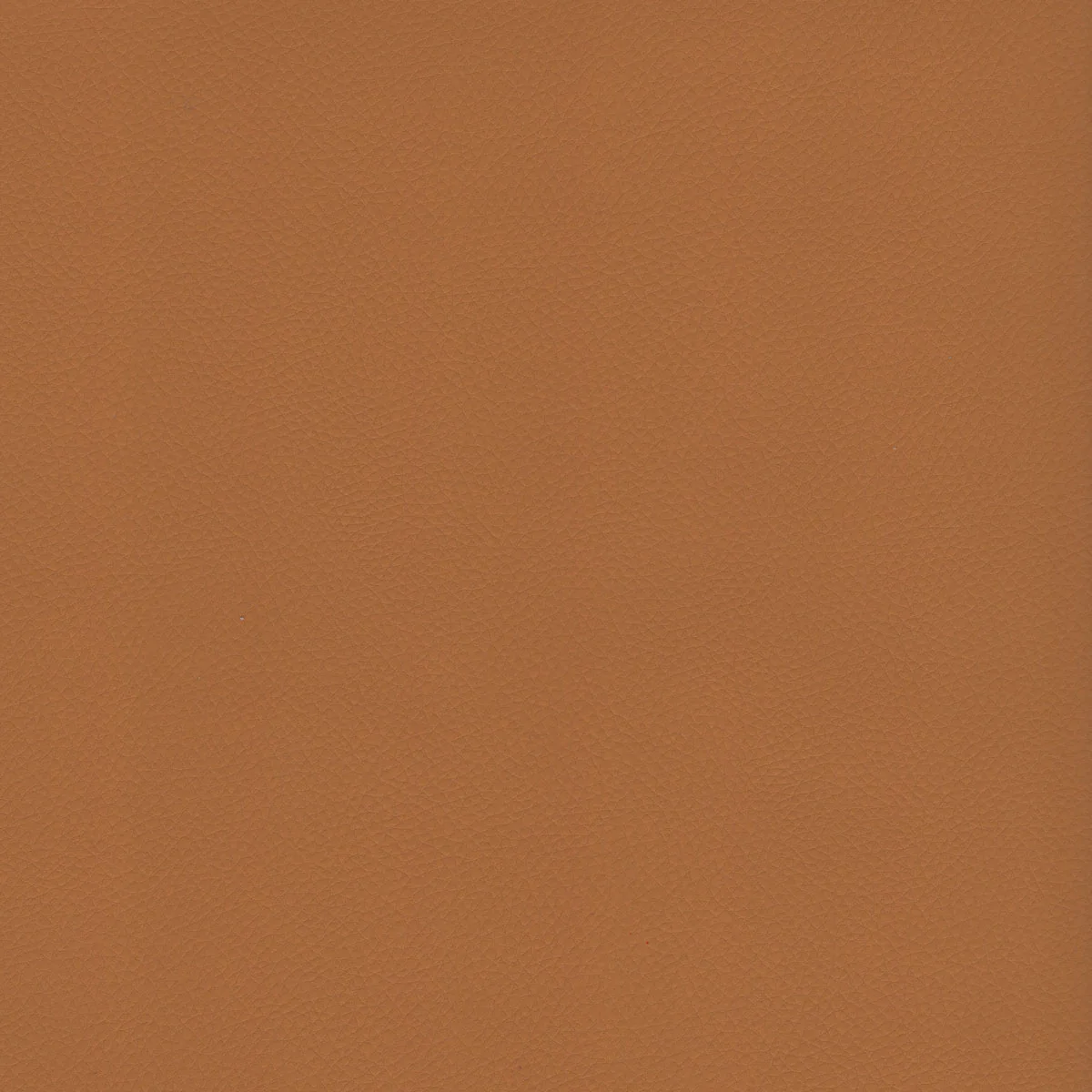 Premier-307 Apricot Leatherette