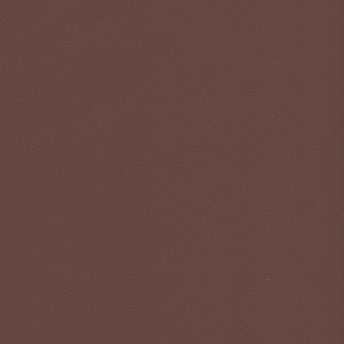 Premier-313 Amber Leatherette